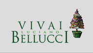 Vivai Luciano Bellucci, Cenaia.