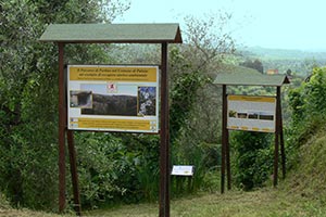 Percorso archeobotanico di Partino, Palaia