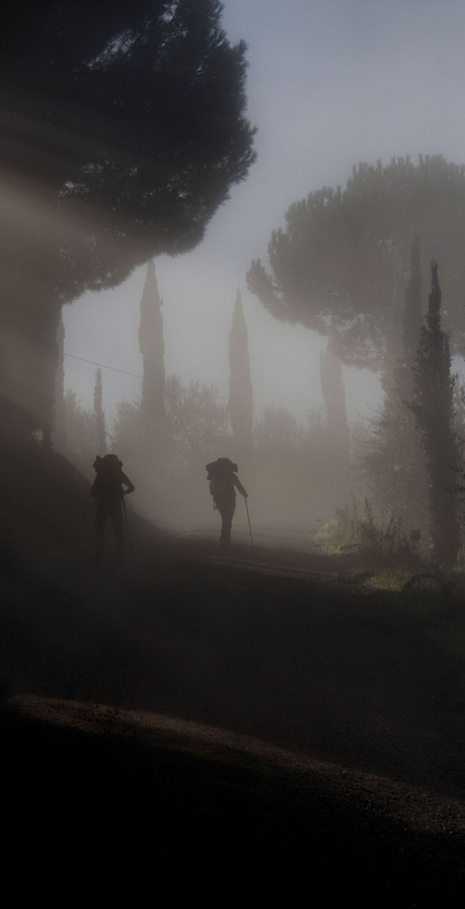 San Gimignano: la Via Francigena